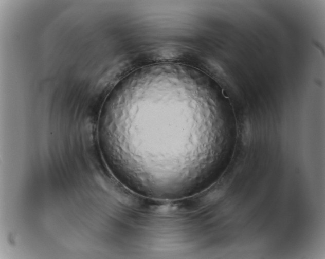 X0000103500366200809191950