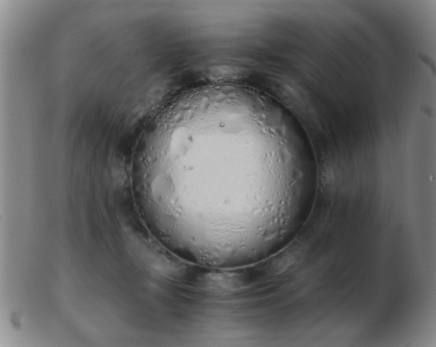 X0000103500367200809191950