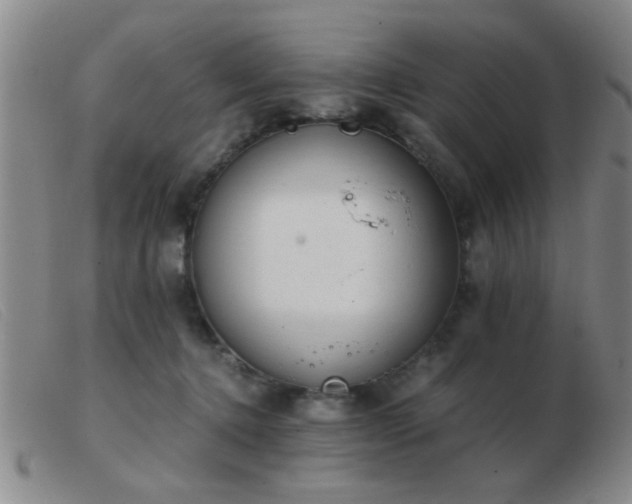 X0000103500368200809191950