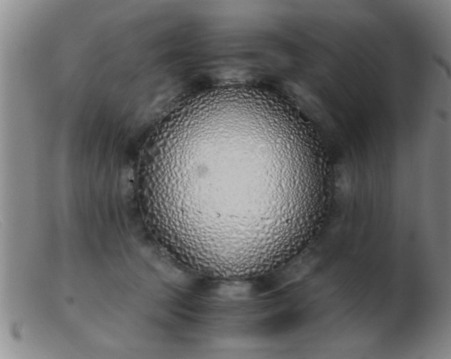 X0000103500369200809191950