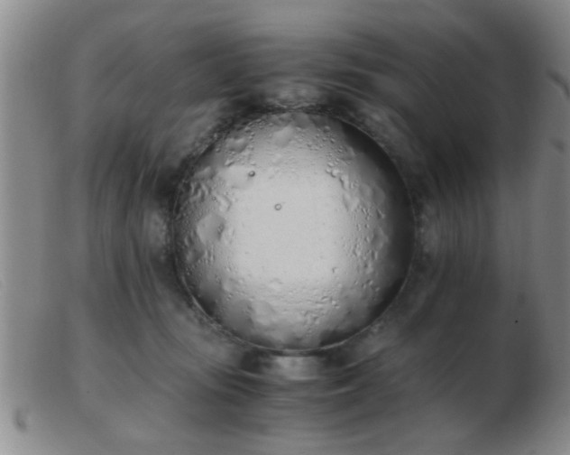 X0000103500371200809191951