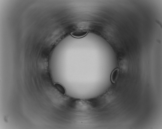 X0000103500372200809191951