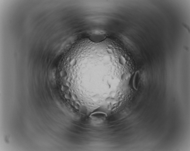 X0000103500373200809191951