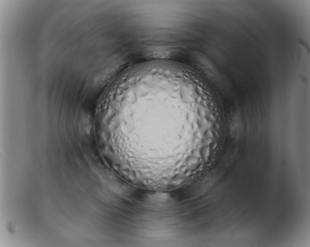 X0000103500374200809191951