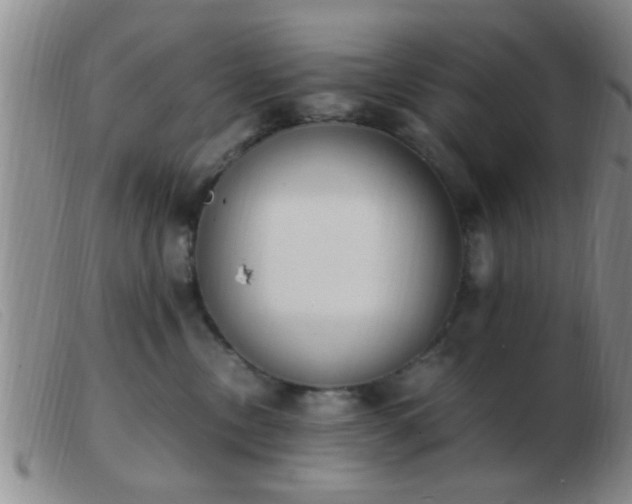 X0000103500378200809191951