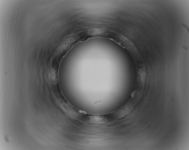 X0000103500380200809191951