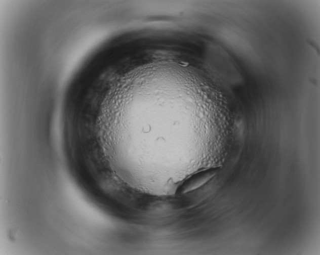 X0000103500381200809191951