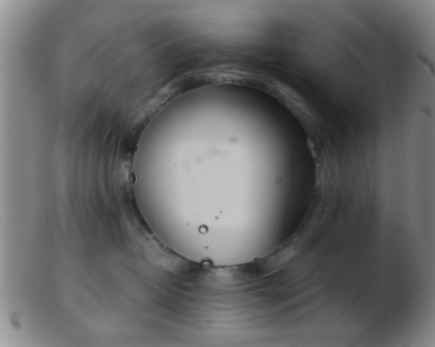 X0000103500382200809191951