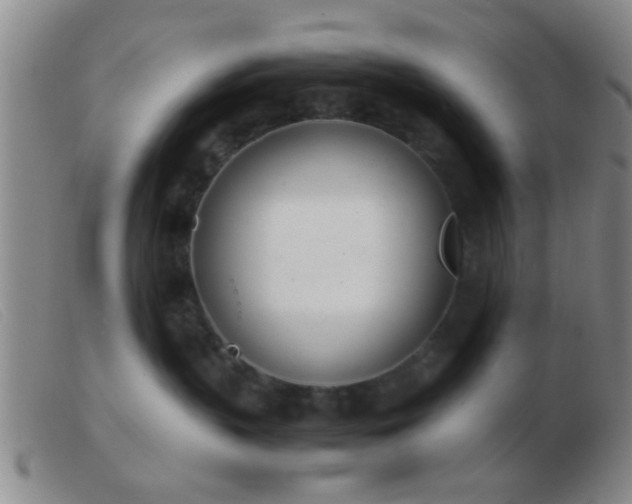 X0000103500383200809191951