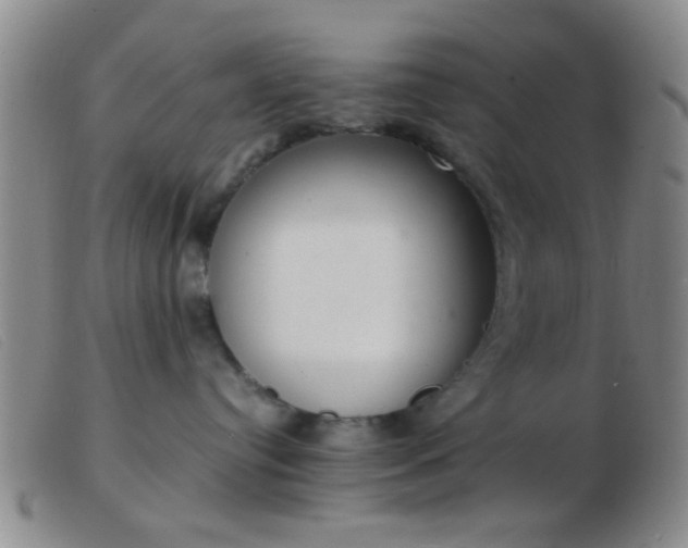 X0000103500384200809191951