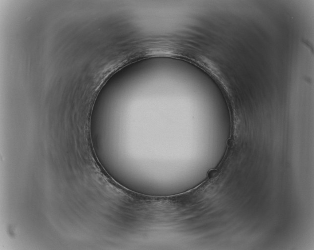 X0000103500385200809191950