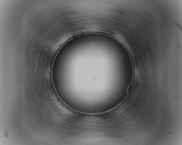 X0000103500389200809191950