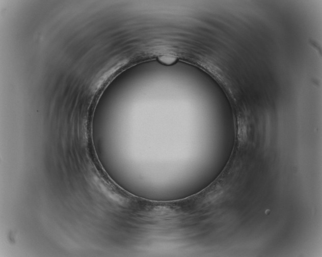 X0000103500390200809191950