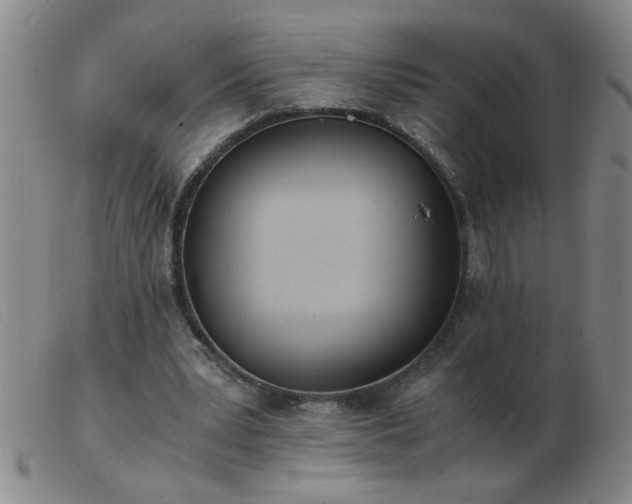 X0000103500391200809191950