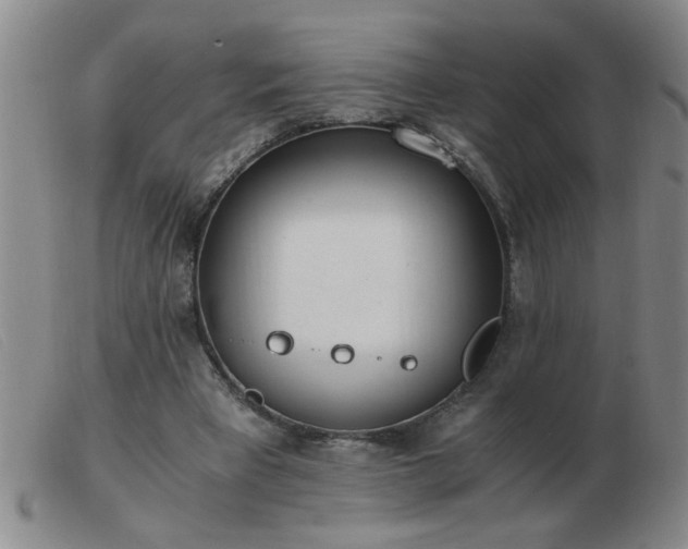 X0000103500393200809191950