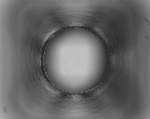 X0000103500395200809191950