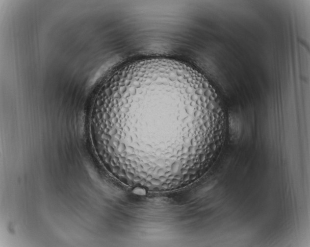 X0000103500396200809191950