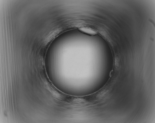 X0000103500397200809191950