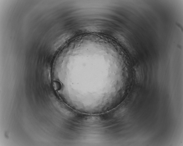 X0000103500398200809191950