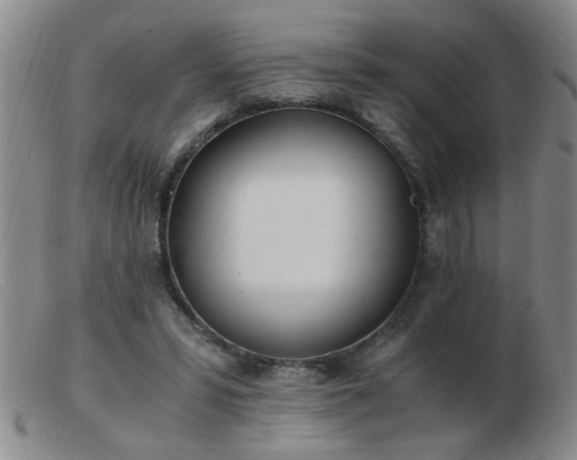 X0000103500399200809191950