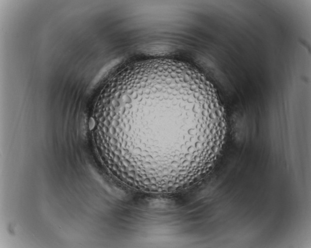 X0000103500400200809191950