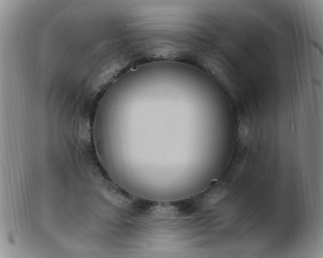 X0000103500403200809191950