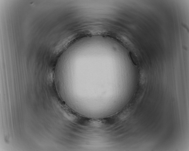 X0000103500405200809191950