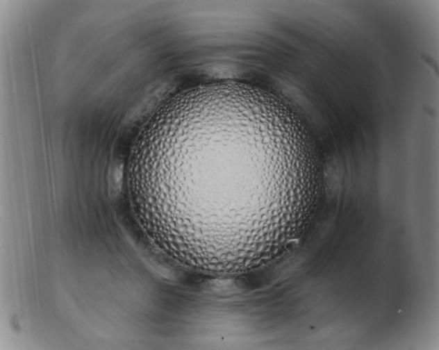 X0000103500406200809191950