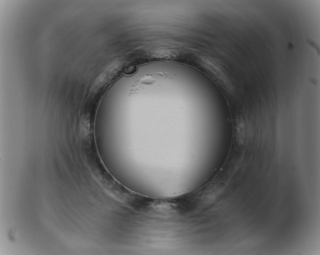 X0000103500407200809191950