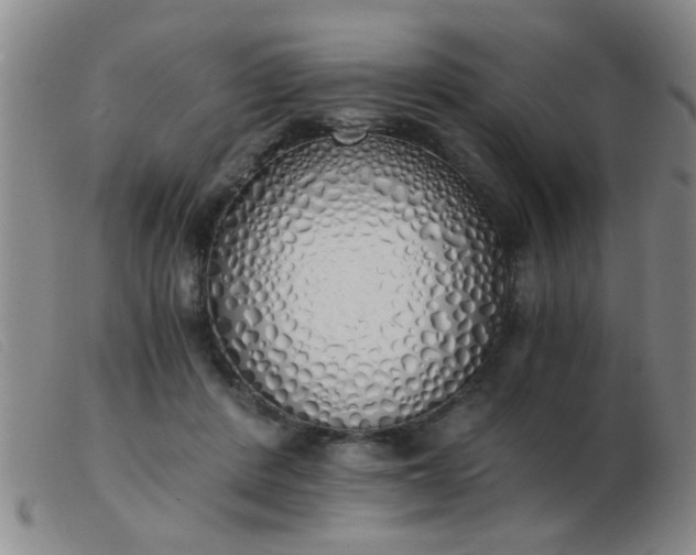 X0000103500408200809191950