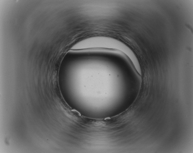 X0000103500409200809191950