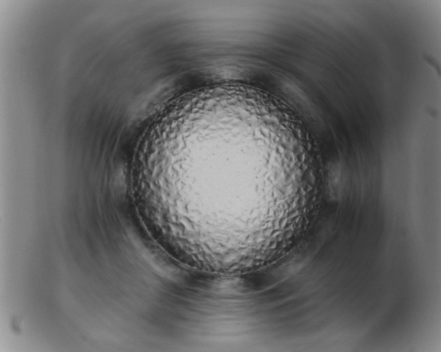 X0000103500410200809191950