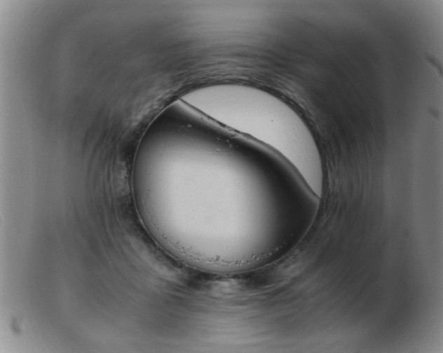 X0000103500411200809191950