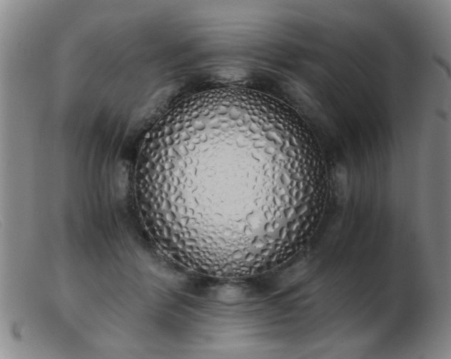 X0000103500412200809191950