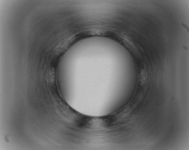 X0000103500413200809191950