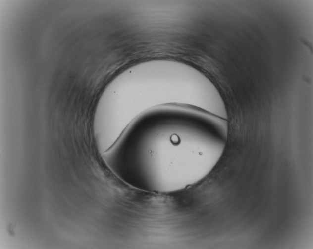 X0000103500415200809191950