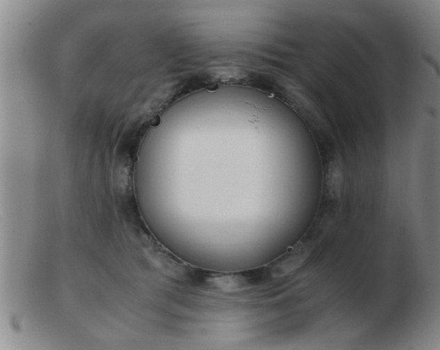 X0000103500417200809191950