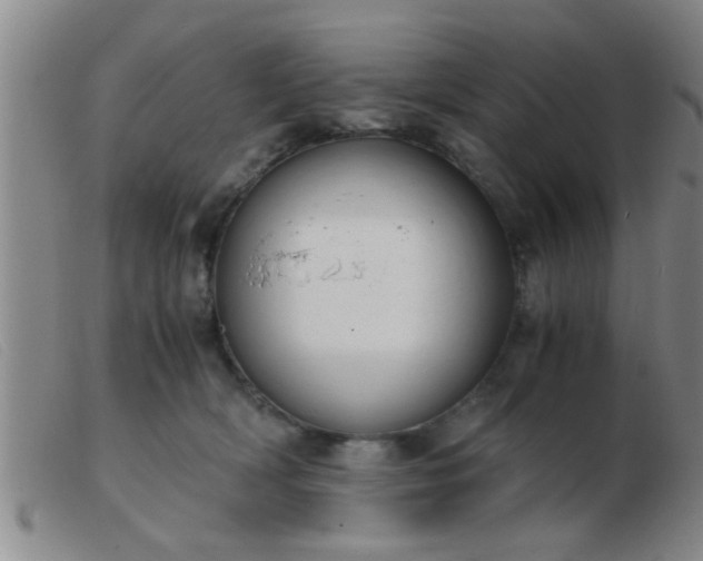 X0000103500418200809191950