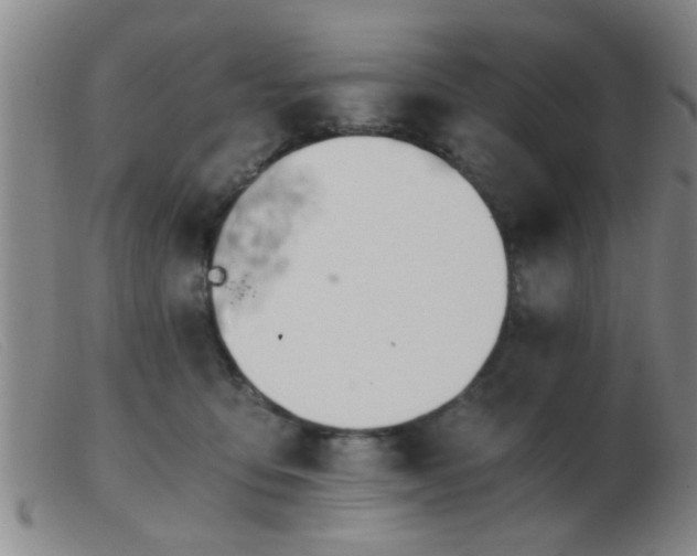 X0000103500419200809191950