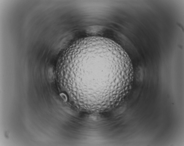 X0000103500420200809191950