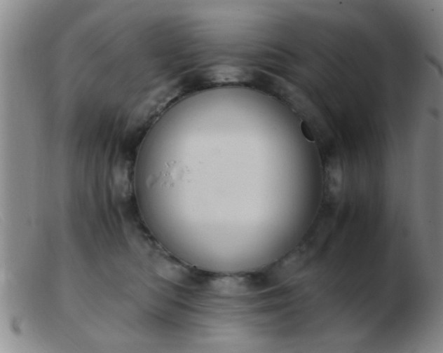 X0000103500422200809191950