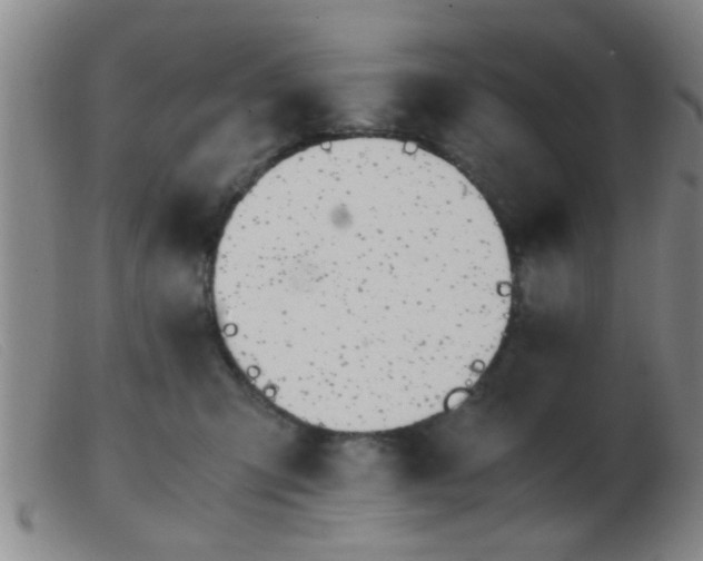 X0000103500423200809191950