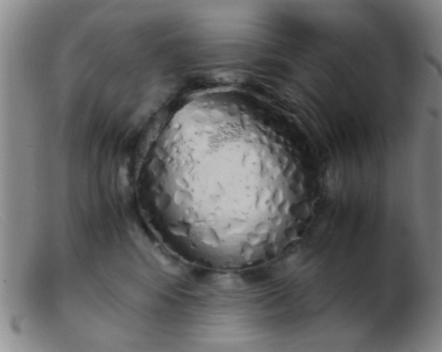 X0000103500424200809191949