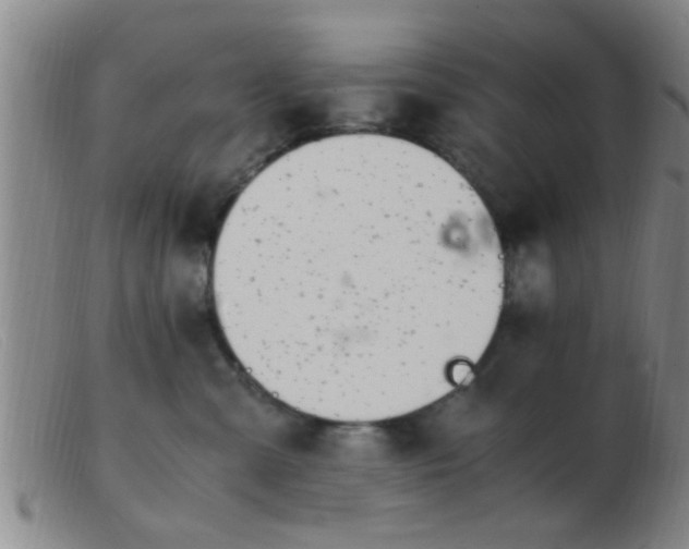 X0000103500427200809191949