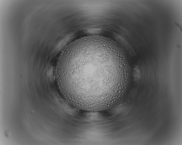 X0000103500428200809191949