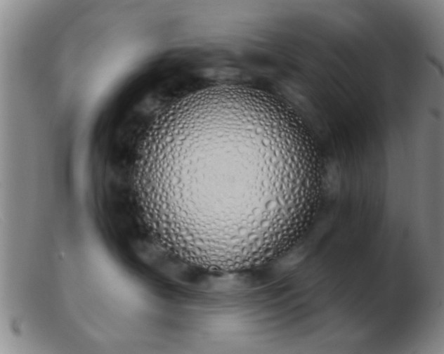 X0000103500430200809191949