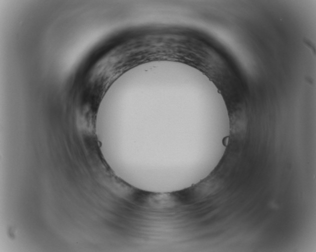 X0000103500431200809191949