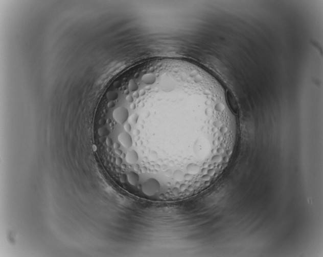 X0000103500433200809191949