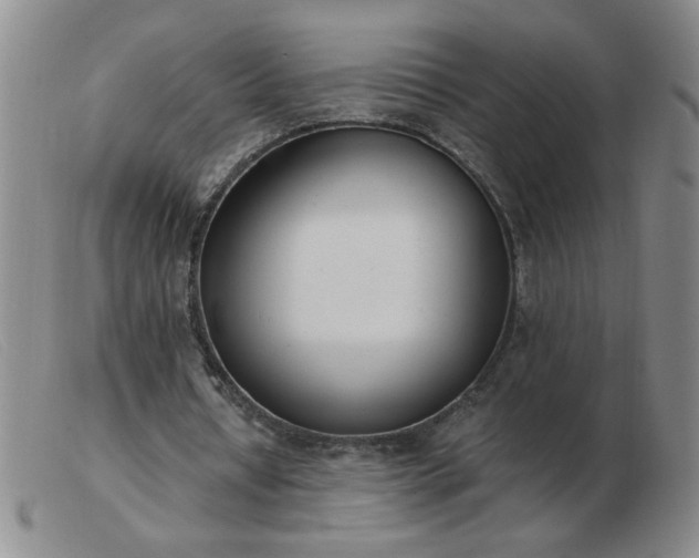 X0000103500434200809191949