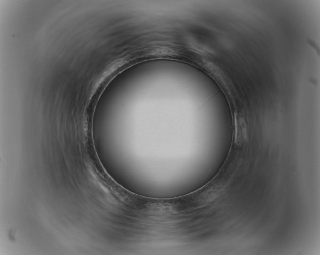 X0000103500435200809191949